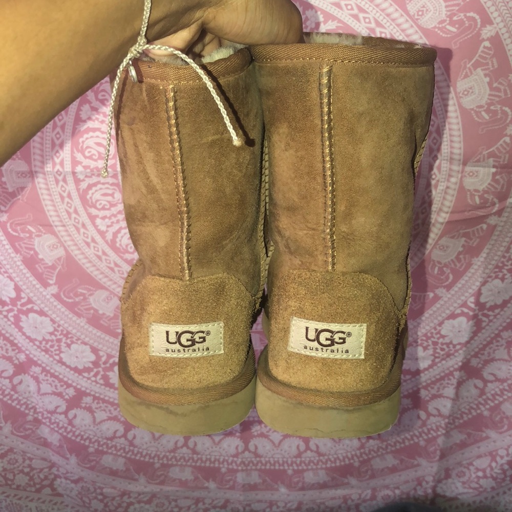 Chestnut Classic Uggs